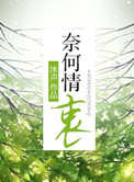 奈何情深缘浅的下一句